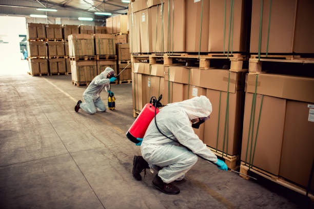 Best Bed Bug Extermination  in Manistee, MI