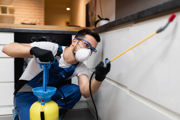 Best Mosquito Control Services  in Manistee, MI