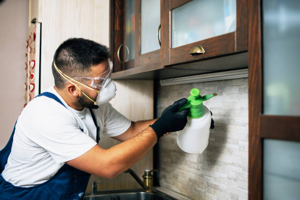 Best Exterminator Services  in Manistee, MI
