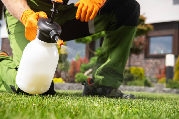 Best Bird Control  in Manistee, MI