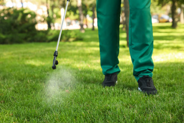Best Pest Removal Services  in Manistee, MI