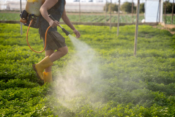 Best Ant Control Services  in Manistee, MI