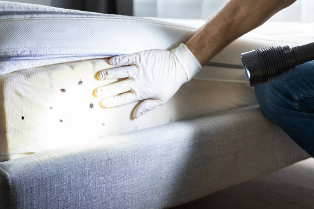 Best Commercial Pest Control Services  in Manistee, MI