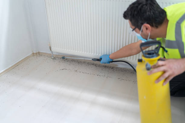 Best Pest Prevention Services  in Manistee, MI