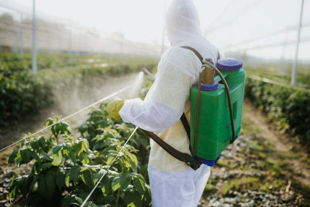 Manistee, MI Pest Control Company